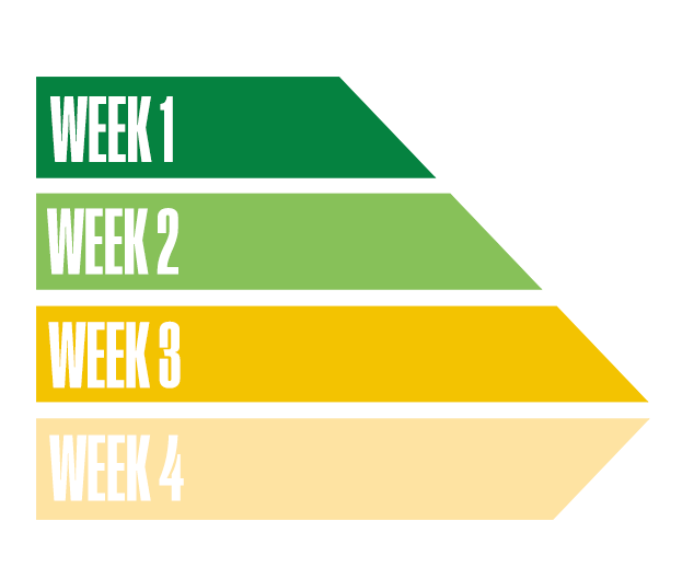 Program Structure